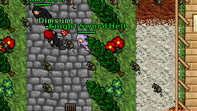 Knight Sword Hell on screen