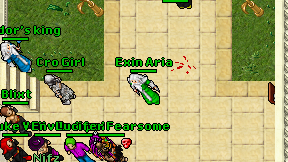 Exin Aria on screen