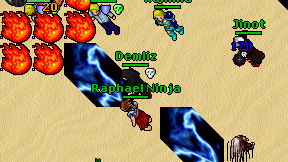 Raphael Ninja on screen