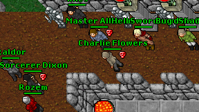 Charlie Flowers on screen