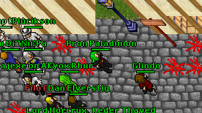 Pron Paladinion on screen