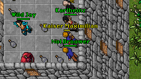 Nol Brouwer on screen