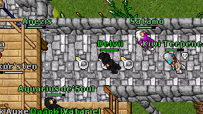 Delvii on screen