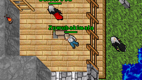 Zowubakimala on screen