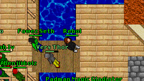 Rebol on screen