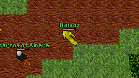 Haisoz on screen