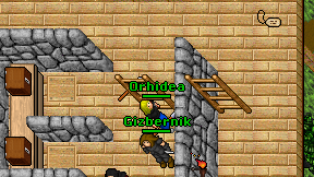 Orhidea on screen
