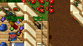 Dribo on screen