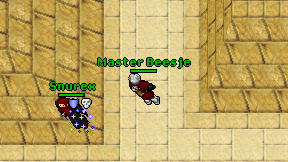Master Beesje on screen