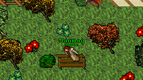 Manmag on screen