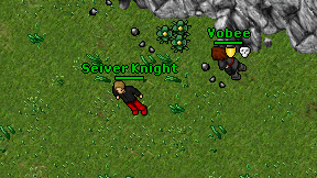Seiver Knight on screen