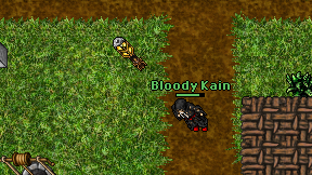 Bloody Kain on screen