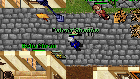 Falcon'Shadow on screen