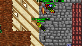 Draminha on screen