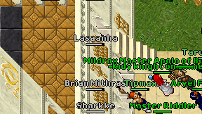 Lasaanha on screen