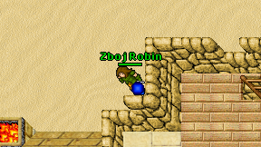 Zboj Robin on screen