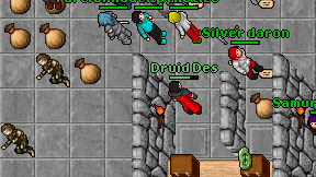 Druid Des on screen