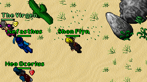 Shon Flyn on screen