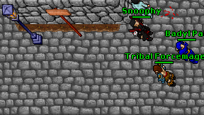 Tribal Forcemage on screen