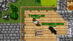 Tuviu Law on screen
