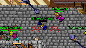 Sheep Meat on screen