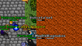 Buhceta'net on screen