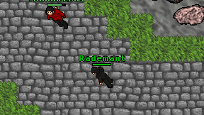 Rademant on screen