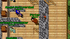 Flyter on screen