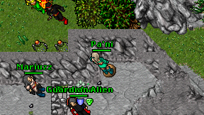 Pa'ni on screen