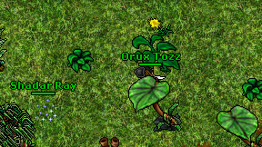 Orux Tozz on screen