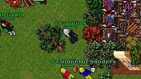 Przygulos on screen