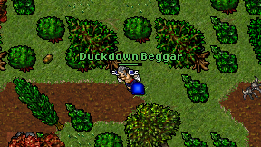 Duckdown Beggar on screen