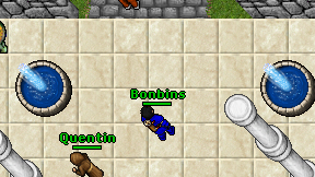 Bonbins on screen