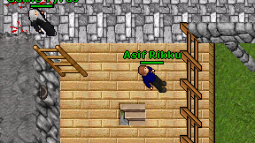 Asif Rikku on screen