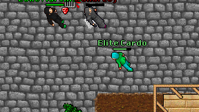 Elite Cardo on screen