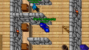 Petrahools on screen