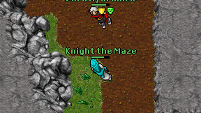 Knight the Maze on screen