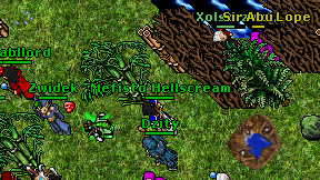 Dzity on screen