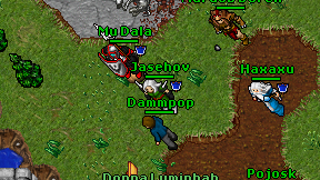 Dammpop on screen