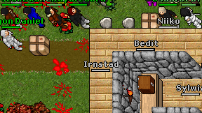 Irnstad on screen