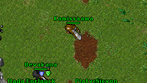 Kamissaama on screen