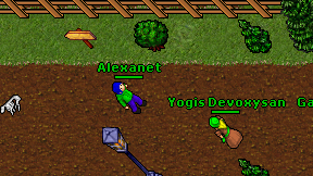 Alexanet on screen