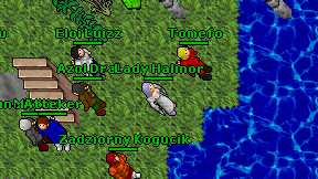 Lady Halinor on screen