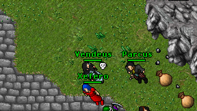 Parcus on screen