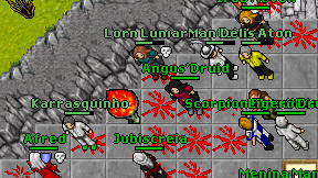 Angus'Druid on screen