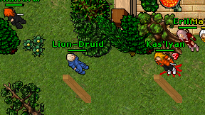 Lion-Druid on screen