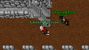 Ghost'Warrior on screen