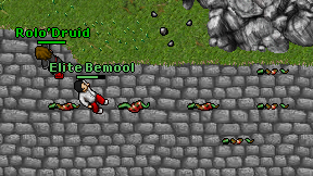 Elite Bemool on screen