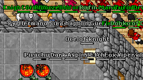 Cerak Pub on screen