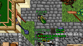 Pacek on screen